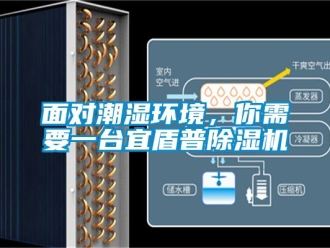 行業新聞面對潮濕環境，你需要一臺宜盾普除濕機