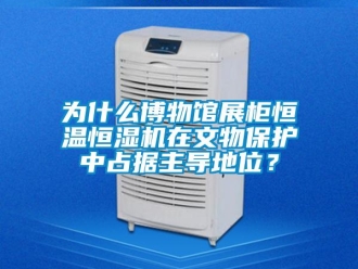 知識百科為什么博物館展柜恒溫恒濕機在文物保護中占據主導地位？