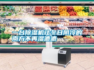 知識(shí)百科一臺(tái)除濕機(jī)讓冬日陰冷的南方不再濕漉漉