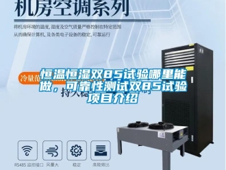 知識(shí)百科恒溫恒濕雙85試驗(yàn)?zāi)睦锬茏觯煽啃詼y(cè)試雙85試驗(yàn)項(xiàng)目介紹