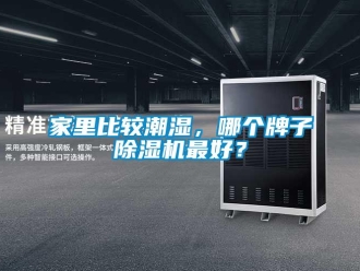 行業(yè)新聞家里比較潮濕，哪個牌子除濕機(jī)最好？