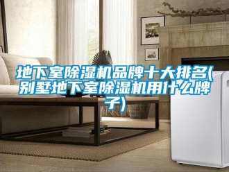 企業(yè)新聞地下室除濕機品牌十大排名(別墅地下室除濕機用什么牌子)
