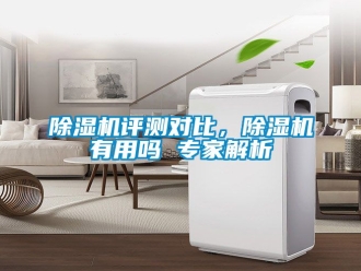 行業新聞除濕機評測對比，除濕機有用嗎 專家解析