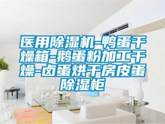 行業(yè)新聞醫(yī)用除濕機(jī)-鴨蛋干燥箱-鵝蛋粉加工干燥-鹵蛋烘干房皮蛋除濕柜