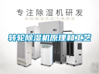 知識(shí)百科轉(zhuǎn)輪除濕機(jī)原理和工藝