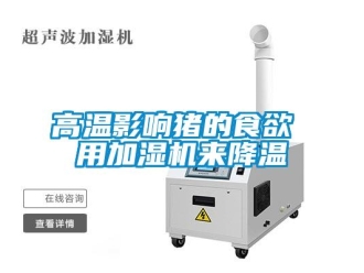 企業新聞高溫影響豬的食欲 用加濕機來降溫