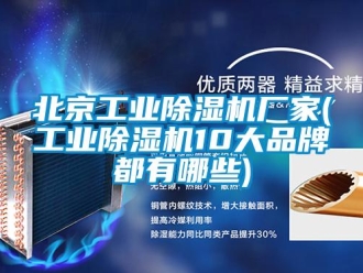 企業(yè)新聞北京工業(yè)除濕機(jī)廠家(工業(yè)除濕機(jī)10大品牌都有哪些)