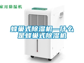 行業新聞蜂巢式除濕機—什么是蜂巢式除濕機