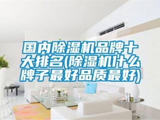 企業(yè)新聞國內(nèi)除濕機(jī)品牌十大排名(除濕機(jī)什么牌子最好品質(zhì)最好)