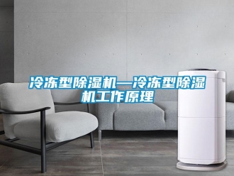 行業(yè)新聞冷凍型除濕機(jī)—冷凍型除濕機(jī)工作原理