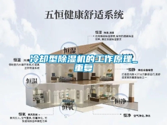 行業(yè)新聞冷卻型除濕機(jī)的工作原理_重復(fù)