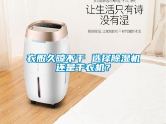 知識百科衣服久晾不干 選擇除濕機還是干衣機？