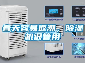 企業新聞春天容易返潮，除濕機很管用