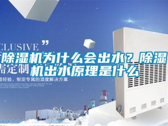 企業新聞除濕機為什么會出水？除濕機出水原理是什么