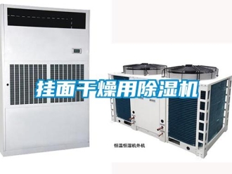 行業新聞掛面干燥用除濕機