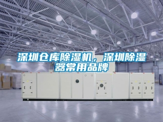 企業(yè)新聞深圳倉庫除濕機，深圳除濕器常用品牌
