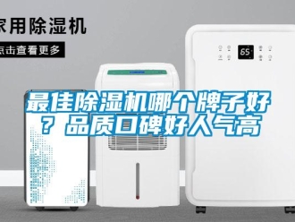 行業新聞最佳除濕機哪個牌子好？品質口碑好人氣高