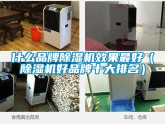 企業(yè)新聞什么品牌除濕機(jī)效果最好（除濕機(jī)好品牌十大排名）