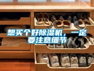 知識百科想買個好除濕機，一定要注意細節