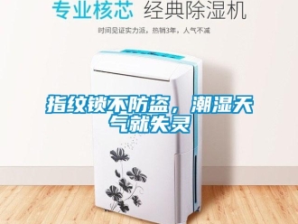 知識百科指紋鎖不防盜，潮濕天氣就失靈