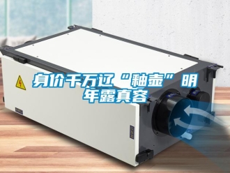 知識百科身價千萬遼“釉壺”明年露真容