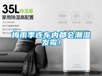 行業新聞梅雨季連車內都會潮濕發霉！