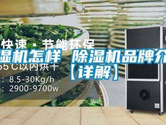 企業新聞除濕機怎樣 除濕機品牌介紹【詳解】