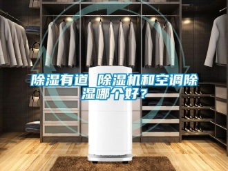 行業新聞除濕有道 除濕機和空調除濕哪個好？