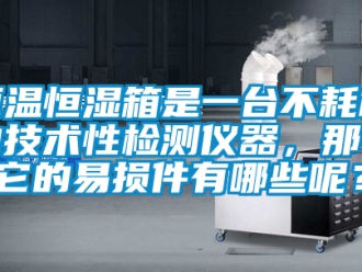 知識(shí)百科恒溫恒濕箱是一臺(tái)不耗材的技術(shù)性檢測(cè)儀器，那么它的易損件有哪些呢？