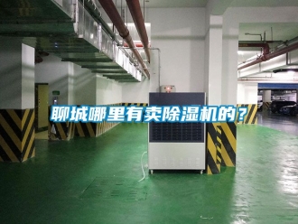 行業(yè)新聞聊城哪里有賣(mài)除濕機(jī)的？