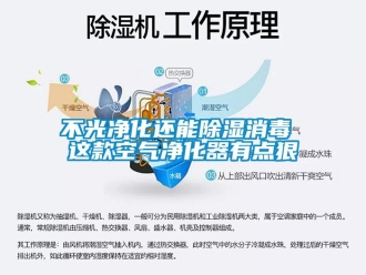 企業(yè)新聞不光凈化還能除濕消毒 這款空氣凈化器有點(diǎn)狠