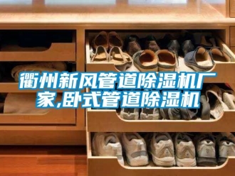 企業(yè)新聞衢州新風(fēng)管道除濕機(jī)廠家,臥式管道除濕機(jī)
