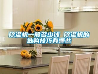行業(yè)新聞除濕機一般多少錢 除濕機的選購技巧有哪些
