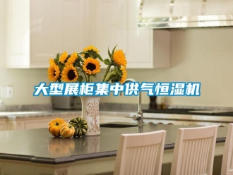 知識(shí)百科大型展柜集中供氣恒濕機(jī)