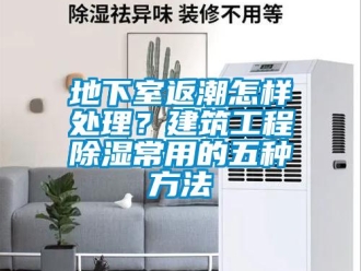 企業(yè)新聞地下室返潮怎樣處理？建筑工程除濕常用的五種方法