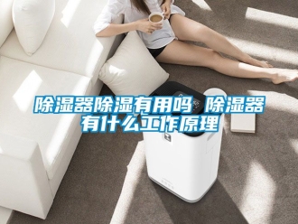 行業新聞除濕器除濕有用嗎 除濕器有什么工作原理