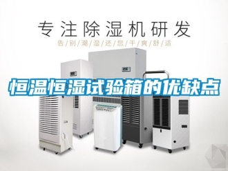 知識(shí)百科恒溫恒濕試驗(yàn)箱的優(yōu)缺點(diǎn)