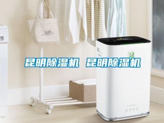 行業(yè)新聞昆明除濕機 昆明除濕機