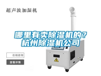 行業(yè)新聞哪里有賣(mài)除濕機(jī)的？杭州除濕機(jī)公司