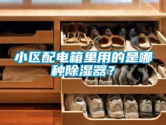 行業(yè)新聞小區(qū)配電箱里用的是哪種除濕器？