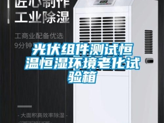 知識(shí)百科光伏組件測(cè)試恒溫恒濕環(huán)境老化試驗(yàn)箱