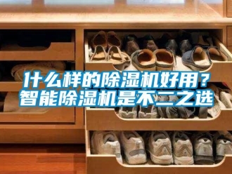知識百科什么樣的除濕機好用？智能除濕機是不二之選