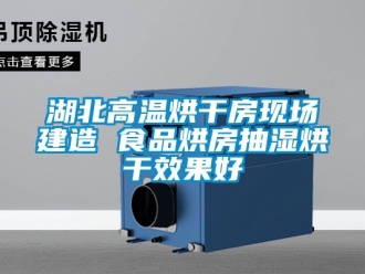 企業新聞湖北高溫烘干房現場建造 食品烘房抽濕烘干效果好