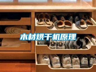 行業新聞木材烘干機原理