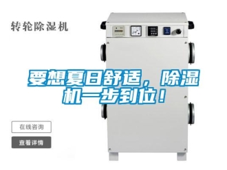 知識百科要想夏日舒適，除濕機一步到位！