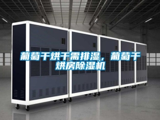 行業新聞葡萄干烘干需排濕，葡萄干烘房除濕機