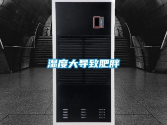 知識百科濕度大導致肥胖