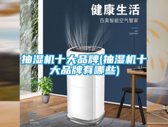 企業新聞抽濕機十大品牌(抽濕機十大品牌有哪些)