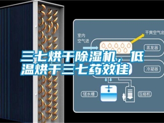 知識百科三七烘干除濕機，低溫烘干三七藥效佳