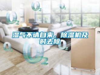 知識百科濕氣不請自來，除濕機及時去除